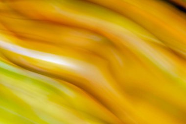 Renkli, eşsiz ve özgün arka planlar. Doğal şeylerin ve yerlerin fotoğraflarından yaratılmış..