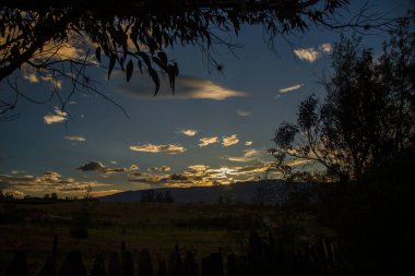 The last light of the sun over the plateau near the colonial town of Villa de Leyva viewed trough an eucalyptus forest, in central Colombia.