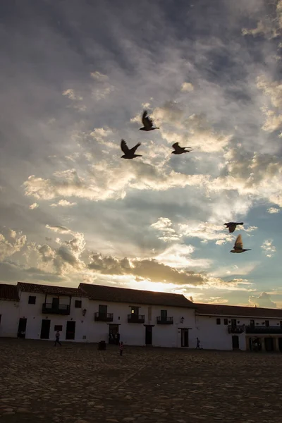 Group Pigeons Crosses Main Square Colonial Town Villa Leyva Sunset — Stock Fotó