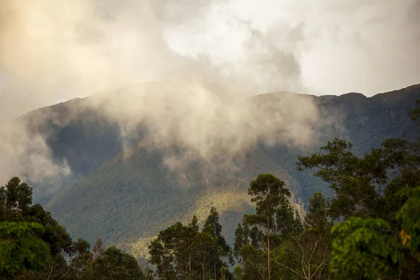 Low Clouds Eastern Andes Range Central Colombia Eucalyptus Forest Colonial — Foto de Stock