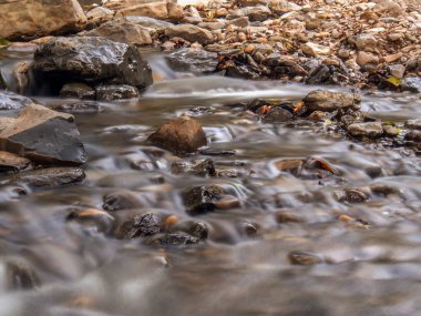 Suarez Nehri 'nin tropikal bir kolu olan Moniquira Nehri' nin akıntısı Kolombiya 'nın merkezinde aynı isimde bir kasabanın yakınında ele geçirildi..