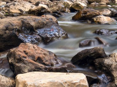 Suarez Nehri 'nin tropikal bir kolu olan Moniquira Nehri' nin akıntısı Kolombiya 'nın merkezinde aynı isimde bir kasabanın yakınında ele geçirildi..