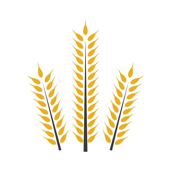 小麦のロゴ画像イラストデザイン — ストックベクタ