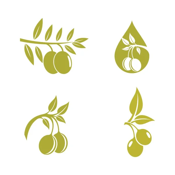 Olive Logo Images Illustration Dersign — Image vectorielle