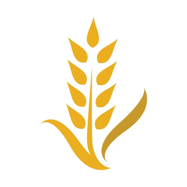 Дизайн Ілюстрації Зображень Логотипу Пшениці — стоковий вектор