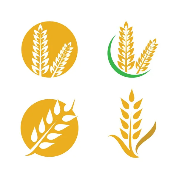 Дизайн Логотипа Пшеницы — стоковый вектор