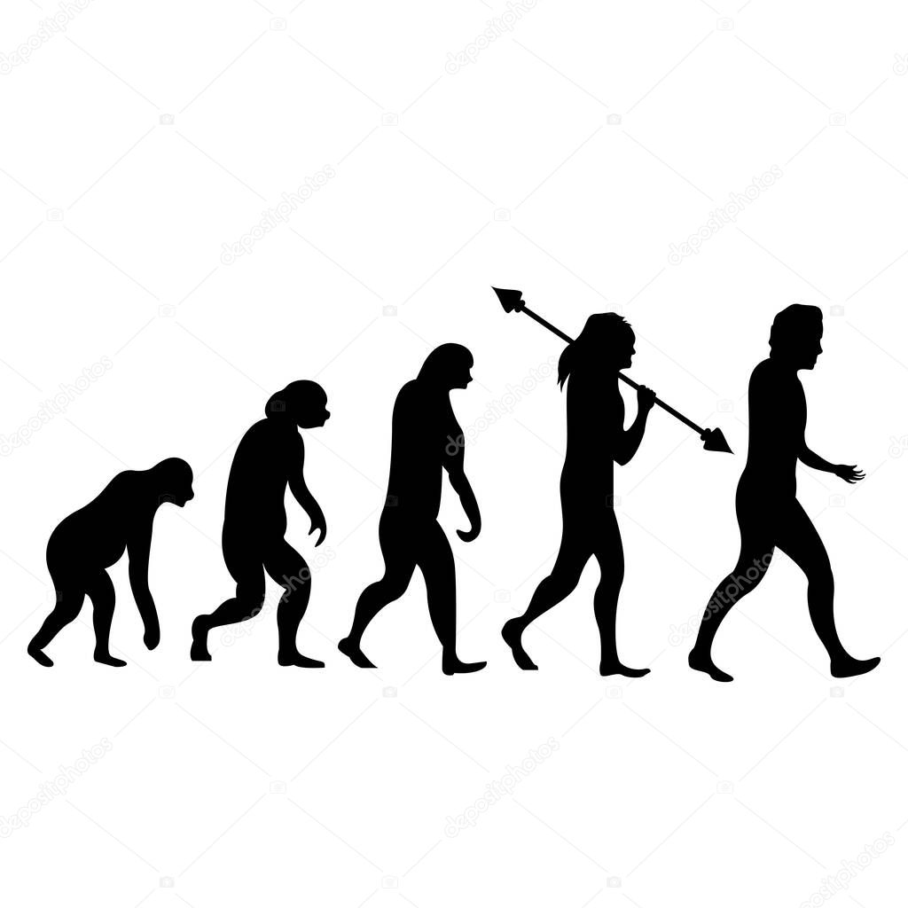 Human evolution. From monkeys to normal humans. Vector character illustration, human evolution icon, apes and their ancestors