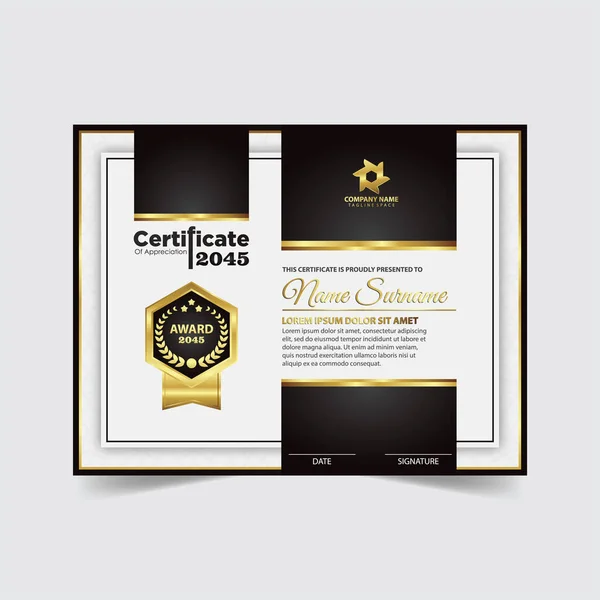 Certificado Profesional Plantilla Diploma Diseño Premios Diseño Plantilla — Vector de stock