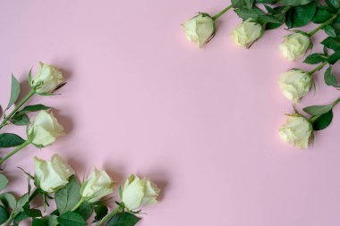 Pembe arka planda beyaz güller