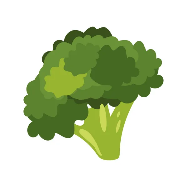 Chou Brocoli Aliments Naturels Sains — Image vectorielle