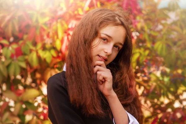 Schoolgirl. Portrait of a girl 11 years old with long hair in the fall on background of red leaves.