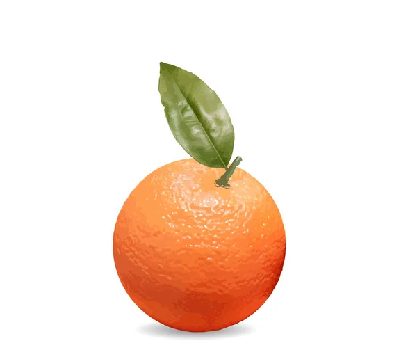 Ilustración Una Mandarina Naranja Hoja Aislado Fondo Blanco — Vector de stock