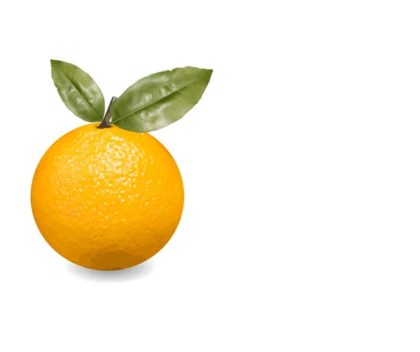 Ilustracja Mandarynkowa Pomarańcza Pozostawić Odizolowane Białe Tło — Wektor stockowy