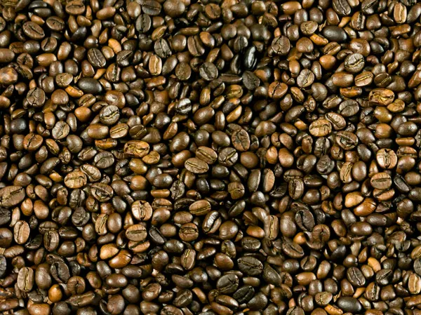 Typer Rostade Kaffebönor Arabica Och Robatta Medelrostade — Stockfoto