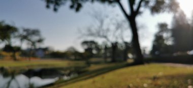 Şehir parkının bulanık arkaplanı