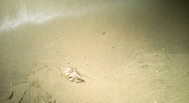 Sahilde ayak izleri.