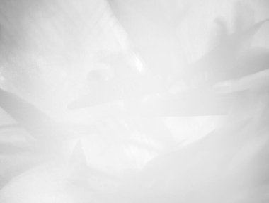 Yakından bakınca, yapraklar tuval üzerinde gölge ve beyaz ışık yansıması..