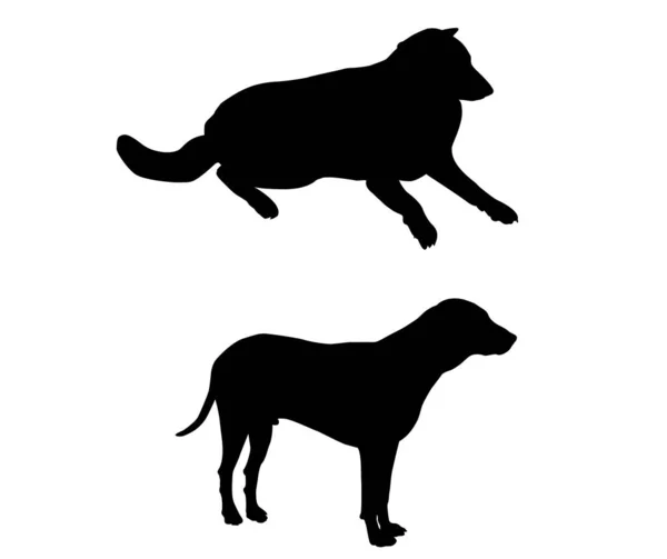 Απεικόνιση Δύο Σκυλιά Σκιά Ενήλικας Μαύρο Χρώμα Λευκό Φόντο Και — Διανυσματικό Αρχείο