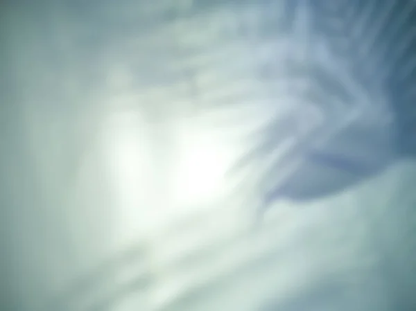 Borrão Abstrato Tela Sombra Folha Por Trás Branco Azul Reflexão — Fotografia de Stock