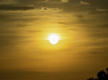 beautiful sunset and landscape with a tree shadow(part)
