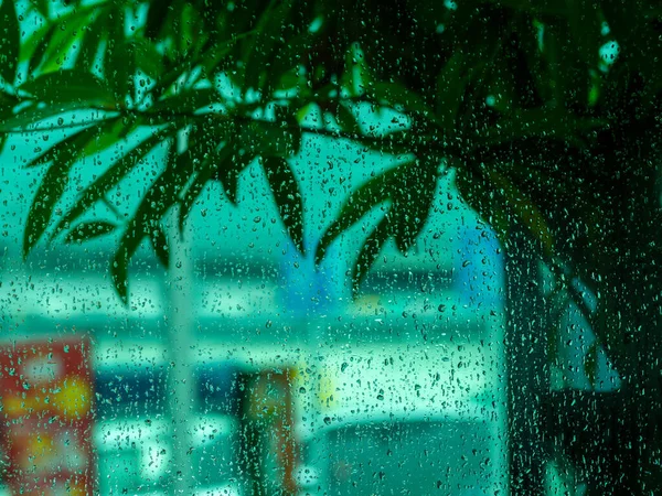 Gotas Lluvia Cristal Ventana Hojas Verdes Edificios Borrosas Ciudad —  Fotos de Stock