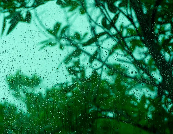 Raindrops Window Glass Branches Leaves Green Trees Blur Rainy Season — Zdjęcie stockowe