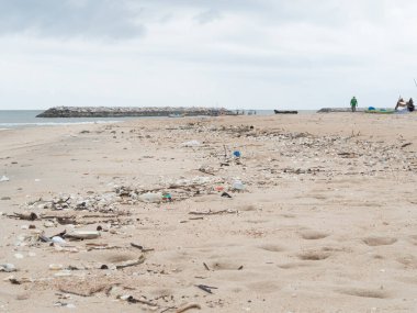 Sahilde su şişesi, kum, deniz ve deniz kabukları olan beyaz plastik çöp kutusu.