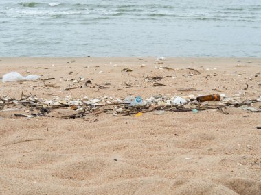 Eye level view, rubbish on the beach, plastic scraps, plastic bottles, dry twigs, shell fragments, glass bottles and small pieces of rubbish.