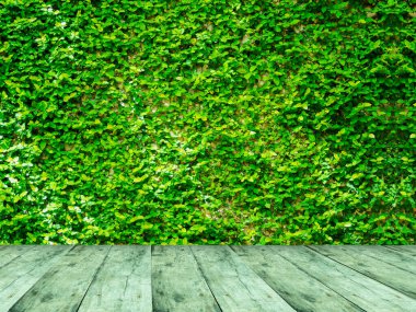 yeşil çimen dokusu ve arkaplan