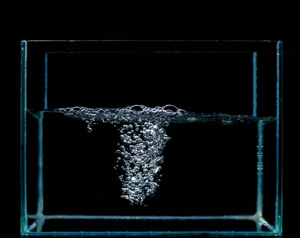 Sponges on the surface of the water, and many water bubbles under the water. Air bubbles and water are in the fish tank. black background