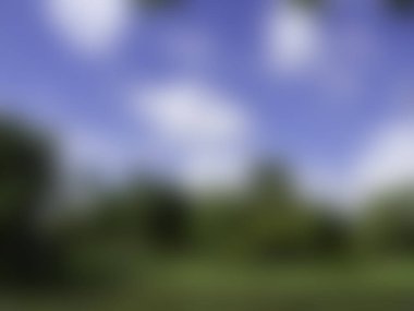 soyut bulanık yeşil arkaplan