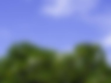 Bokeh ve parlak ışıklarla bulanık arkaplan