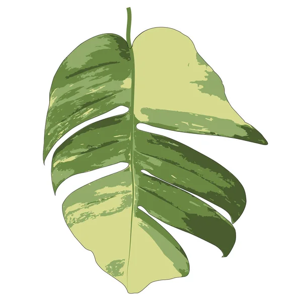 Ilustração Vetorial Folhas Verdes — Vetor de Stock