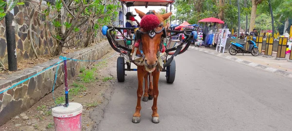 Zdjęcie Konia Wagonu Spoczywającego Boku Placu Cicalengka Indonezja — Zdjęcie stockowe