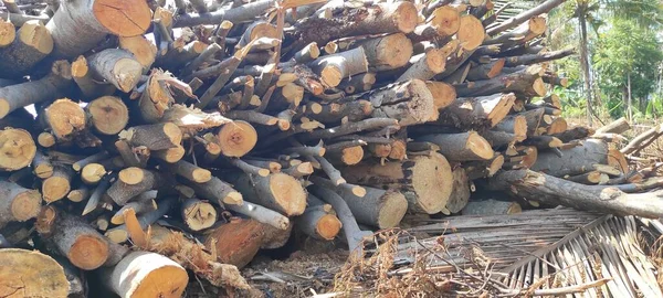 Photo Fond Tas Bois Chauffage Dans Forêt Région Cikancung Indonésie — Photo