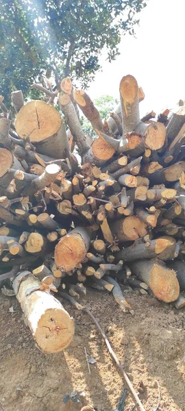 Photo Fond Tas Bois Chauffage Dans Forêt Région Cikancung Indonésie — Photo