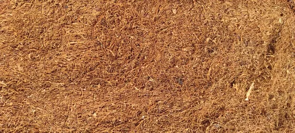 Resumen Foto Desenfocada Textura Del Tabaco Seco Área Cikancung Indonesia —  Fotos de Stock