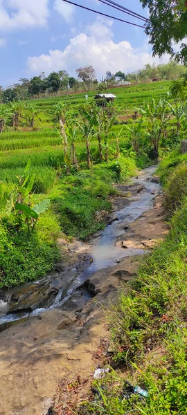 Flow Small River Filled Mossy Rocks Cikancung Area Indonesia — Stock Photo, Image