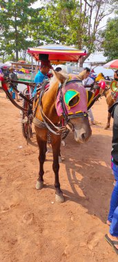 Cikancung, Batı Java, Endonezya - 03 Kasım 2021: Cicalengka Tepesi 'ndeki bir atın Cicalengka Tepesi, Endonezya' ya ziyaretçiler için kiralanan fotoğrafı