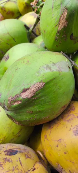 Pozadí Fotografie Hromady Kokosových Ořechů Prodávaných Kraji Silnice — Stock fotografie