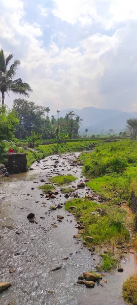 Cicalengka Giava Occidentale Indonesia Novembre 2021 Sfondo Astratto Sfocato Dei — Foto Stock