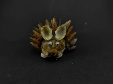 Kara arka planda izole edilmiş kirpi şekilli kabuk dekorasyonu fotoğrafı.