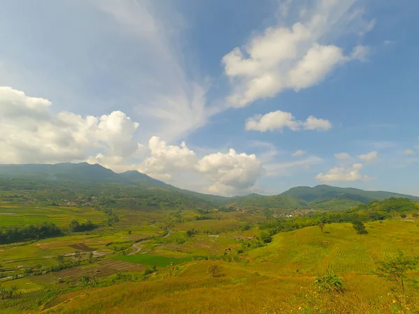 Achtergrondfoto Van Een Groene Heuvel Het Cicalengka Gebied Indonesië — Stockfoto