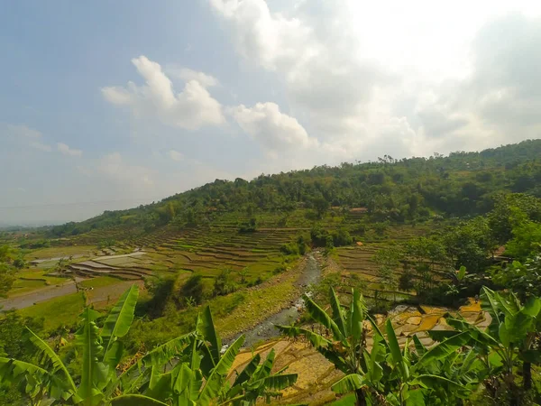 Abstrato Desfocado Foto Fundo Uma Colina Verde Área Cicalengka Indonésia — Fotografia de Stock