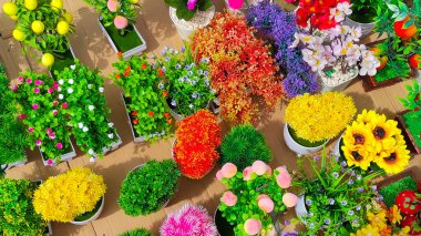 Yol kenarında satılık çeşitli yapay bitkilerin özgün odaklanmış arka plan fotoğrafları.