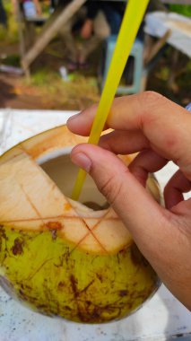 Genç hindistan cevizli fotoğrafın soyut çözünürlüğü doğrudan meyvelerden elde edilir.