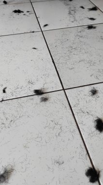 Beyaz zeminin saçla kaplı olduğu soyut odaklanmış arkaplan fotoğrafı