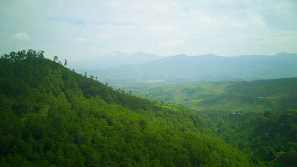 Аннотация Defocused Forest Covering Mountains Cikancung Area Indonesia — стоковое фото