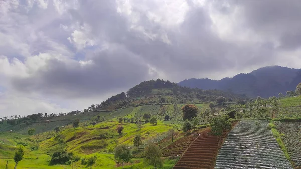 Colinas Plantadas Con Varias Verduras Durante Temporada Lluvias Área Cikancung —  Fotos de Stock