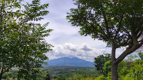 Endonezya Nın Cikancung Bölgesinde Yüksek Ağaçlar Dağ Manzarasını Kaplıyor — Stok fotoğraf